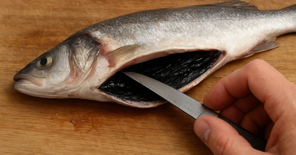 ໝໍ້ຫຸງເຂົ້າ